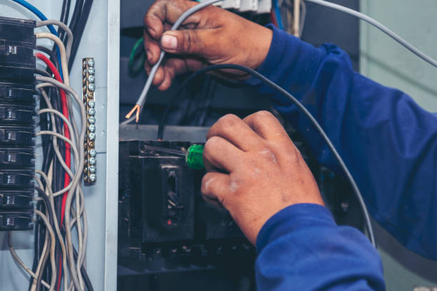Best Electric Panel Repair  in Fredericktown, MO